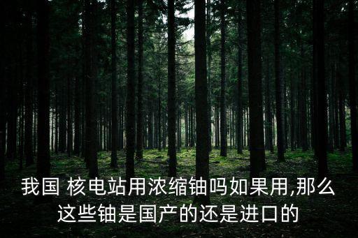 我國 核電站用濃縮鈾嗎如果用,那么這些鈾是國產的還是進口的