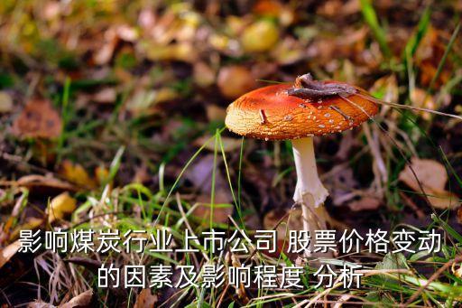 影響煤炭行業(yè)上市公司 股票價格變動的因素及影響程度 分析