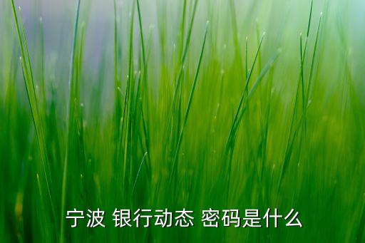  寧波 銀行動態(tài) 密碼是什么