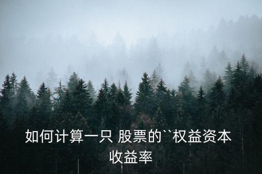 如何計算一只 股票的``權益資本 收益率