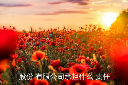  股份 有限公司承擔(dān)什么 責(zé)任