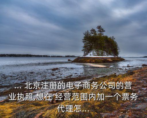 ... 北京注冊的電子商務公司的營業(yè)執(zhí)照,想在 經(jīng)營范圍內(nèi)加一個票務代理怎...