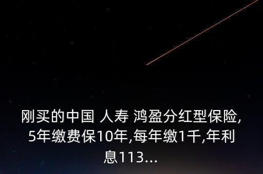 剛買(mǎi)的中國(guó) 人壽 鴻盈分紅型保險(xiǎn),5年繳費(fèi)保10年,每年繳1千,年利息113...