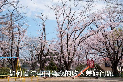 如何看待中國當(dāng)今的收入差距問題