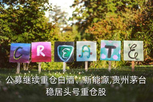 公募繼續(xù)重倉白酒、新能源,貴州茅臺穩(wěn)居頭號重倉股