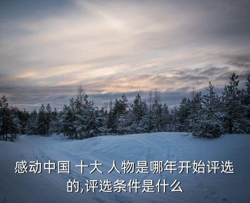 感動(dòng)中國 十大 人物是哪年開始評選的,評選條件是什么