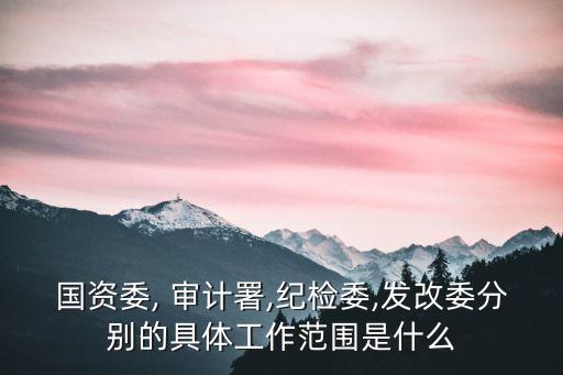 國資委, 審計署,紀(jì)檢委,發(fā)改委分別的具體工作范圍是什么