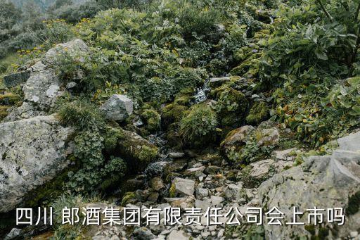 郎酒有股票了,郎酒股票000510價格