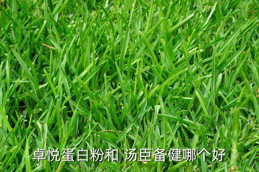 卓悅蛋白粉和 湯臣備健哪個(gè)好
