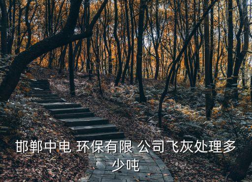 邯鄲中電 環(huán)保有限 公司飛灰處理多少?lài)? class=