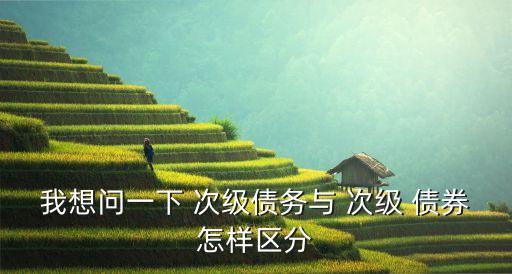 商業(yè)銀行次級(jí)債券是指,關(guān)于商業(yè)銀行次級(jí)債券的論述正確的是