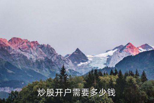 炒股開(kāi)戶需要多少錢(qián)