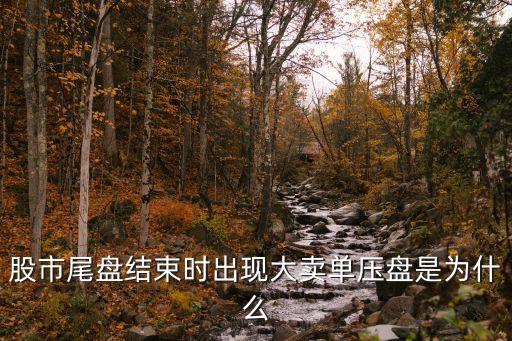 股市尾盤結(jié)束時出現(xiàn)大賣單壓盤是為什么