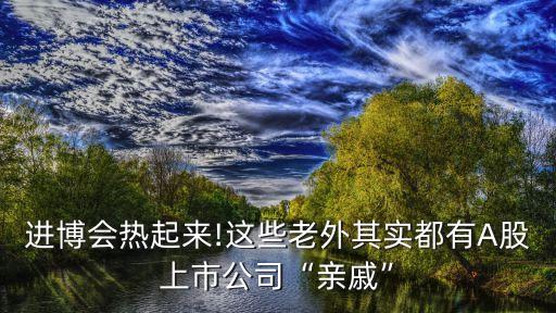進(jìn)博會熱起來!這些老外其實(shí)都有A股上市公司“親戚”