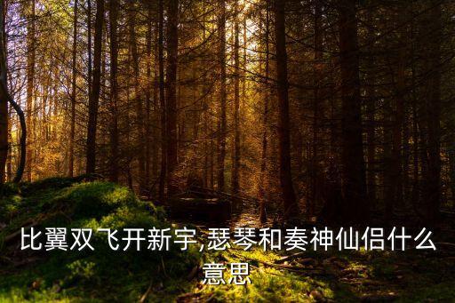 比翼雙飛開(kāi)新宇,瑟琴和奏神仙侶什么意思