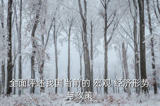 全面評(píng)述我國當(dāng)前的 宏觀 經(jīng)濟(jì)形勢(shì)與政策