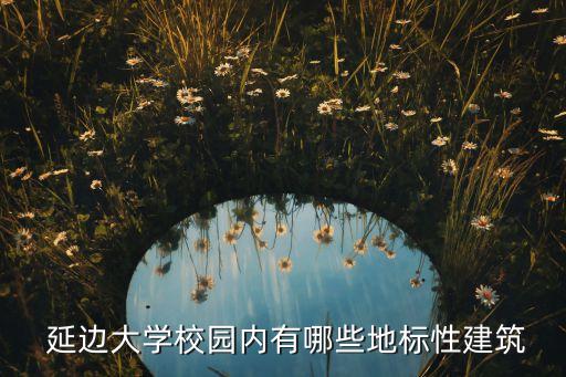 延邊耀天燃?xì)饧瘓F