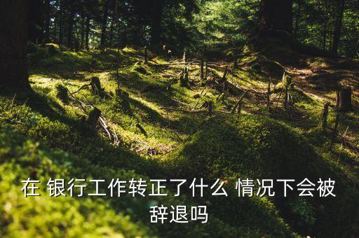 在 銀行工作轉正了什么 情況下會被辭退嗎