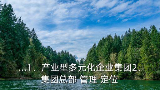 ...1、產(chǎn)業(yè)型多元化企業(yè)集團2、集團總部 管理 定位