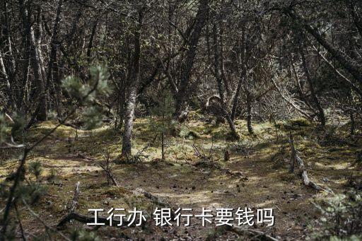工行辦 銀行卡要錢(qián)嗎