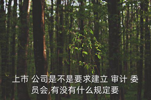 上市 公司是不是要求建立 審計(jì) 委員會(huì),有沒有什么規(guī)定要