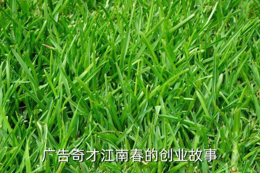 廣告奇才江南春的創(chuàng)業(yè)故事
