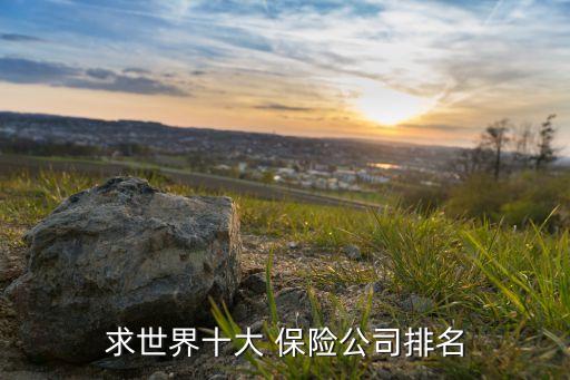 求世界十大 保險(xiǎn)公司排名