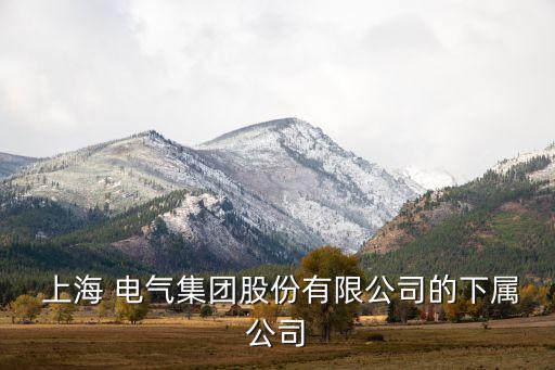  上海 電氣集團股份有限公司的下屬公司