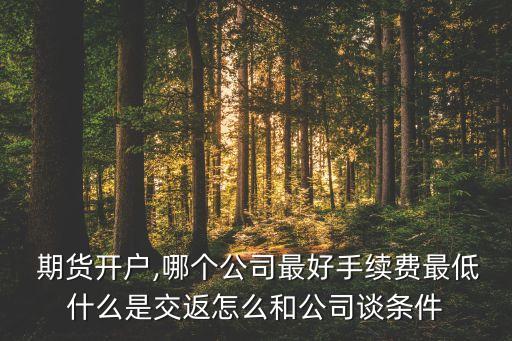  期貨開(kāi)戶,哪個(gè)公司最好手續(xù)費(fèi)最低什么是交返怎么和公司談條件