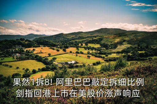 果然1拆8! 阿里巴巴敲定拆細比例劍指回港上市在美股價漲聲響應(yīng)