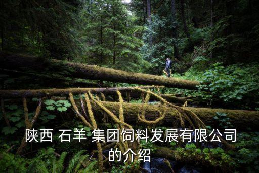  陜西 石羊 集團飼料發(fā)展有限公司的介紹