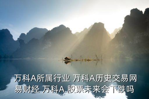  萬科A所屬行業(yè) 萬科A歷史交易網(wǎng)易財(cái)經(jīng) 萬科A 股票未來會下跌嗎