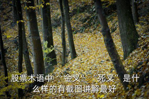  股票術(shù)語(yǔ)中“ 金叉”“死叉”是什么樣的有截圖講解最好