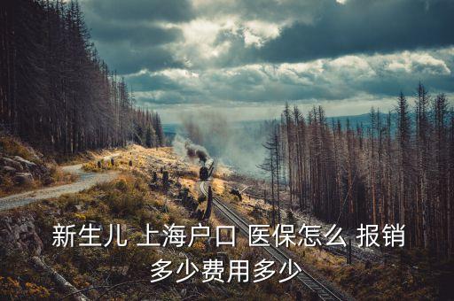  新生兒 上海戶口 醫(yī)保怎么 報銷多少費(fèi)用多少
