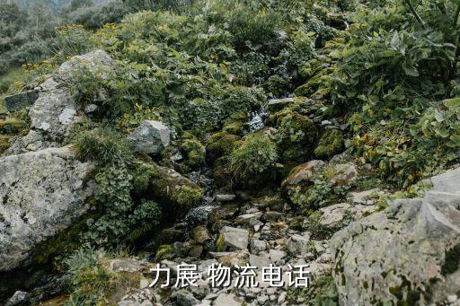 力展 物流電話(huà)