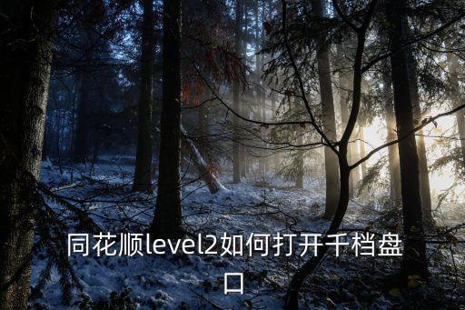  同花順level2如何打開(kāi)千檔盤(pán)口