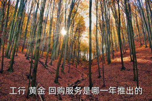 工行 黃金 回購(gòu)服務(wù)是哪一年推出的