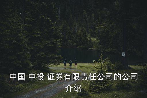 中國(guó) 中投 證券有限責(zé)任公司的公司介紹