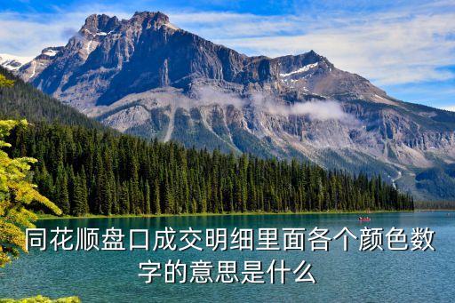同花順上海九百,上海同花順營業(yè)廳地址