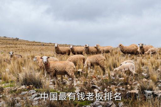 中國(guó)十大企業(yè)家
