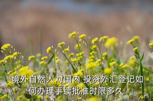  境外自然人對國內 投資外匯登記如何辦理手續(xù)批準時限多久