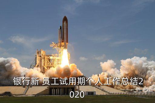  銀行新 員工試用期個人工作總結2020