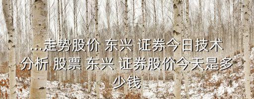 ...走勢股價 東興 證券今日技術分析 股票 東興 證券股價今天是多少錢