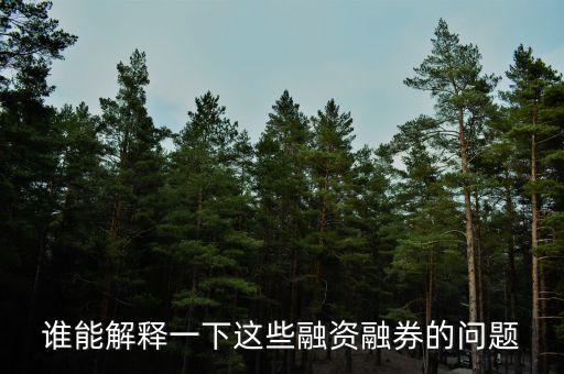 誰(shuí)能解釋一下這些融資融券的問題