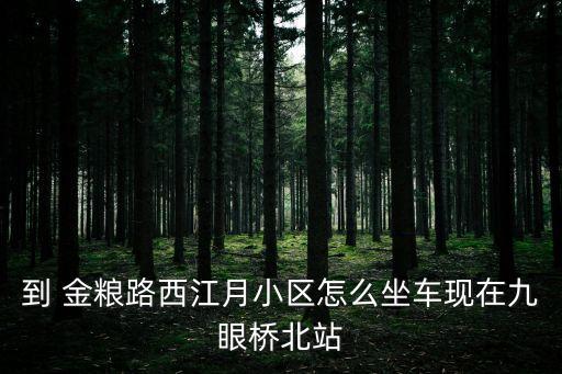 到 金糧路西江月小區(qū)怎么坐車(chē)現(xiàn)在九眼橋北站