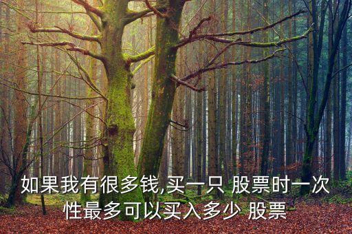 如果我有很多錢,買一只 股票時(shí)一次性最多可以買入多少 股票