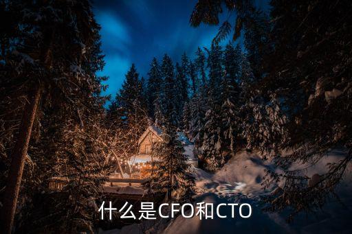 中國電信財(cái)務(wù)總監(jiān)