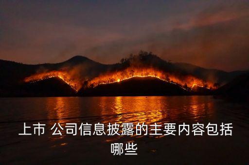  上市 公司信息披露的主要內容包括哪些
