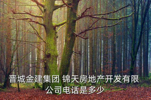 晉城金建集團(tuán) 錦天房地產(chǎn)開(kāi)發(fā)有限 公司電話是多少