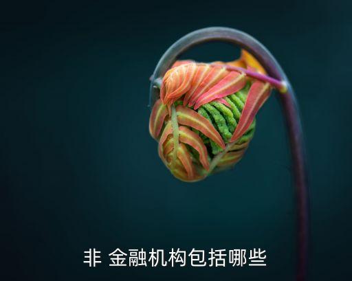非 金融機構包括哪些